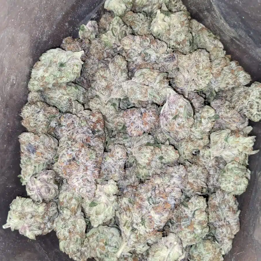 Tropicana Cookies 3 I $ 75 Oz - Tropicana Cookies