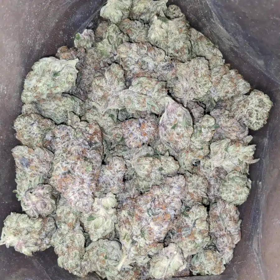 Tropicana Cookies 4 I $ 75 Oz - Tropicana Cookies