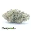 White Cookies