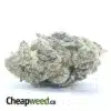 WTF Kush