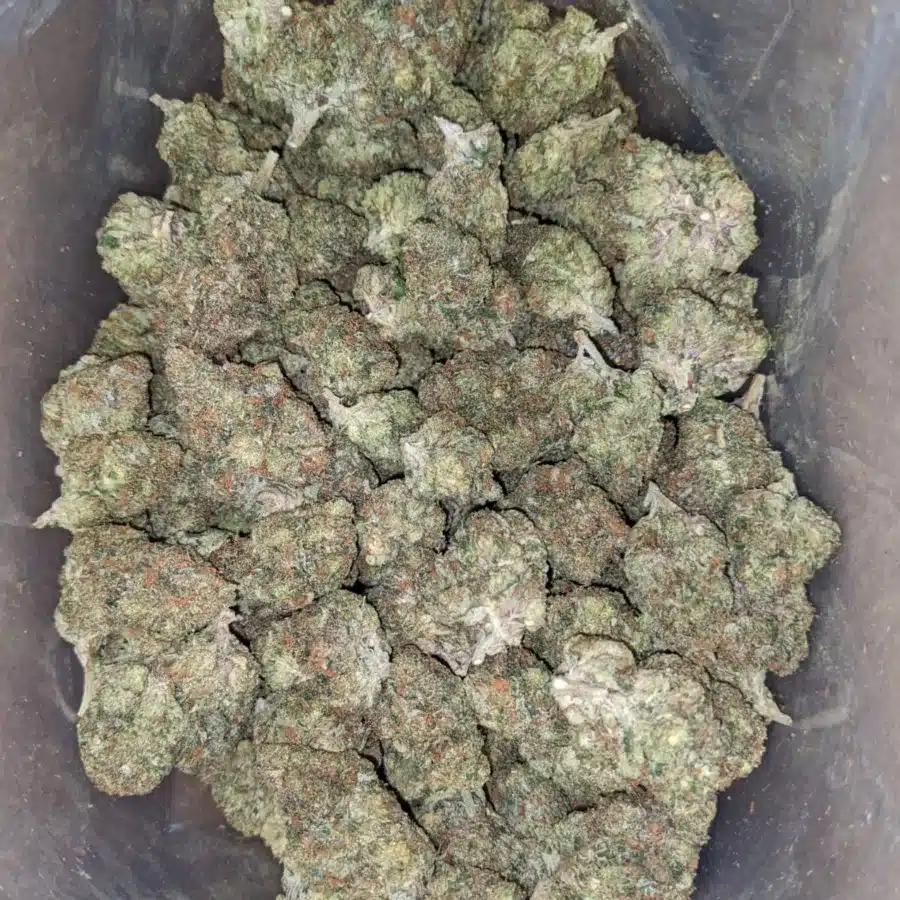 WhatsApp Image 2026 04 21 at 11.33.47 PM 1 I $ 50 Oz - Chemo