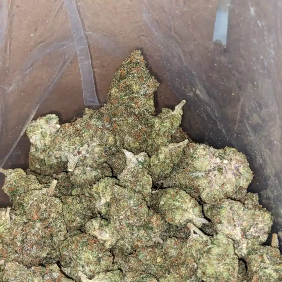 WhatsApp Image 2026 04 21 at 11.33.47 PM 2 I $ 50 Oz - Chemo