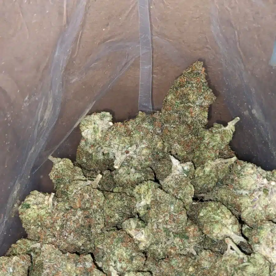 WhatsApp Image 2026 04 21 at 11.33.47 PM 3 I $ 50 Oz - Chemo