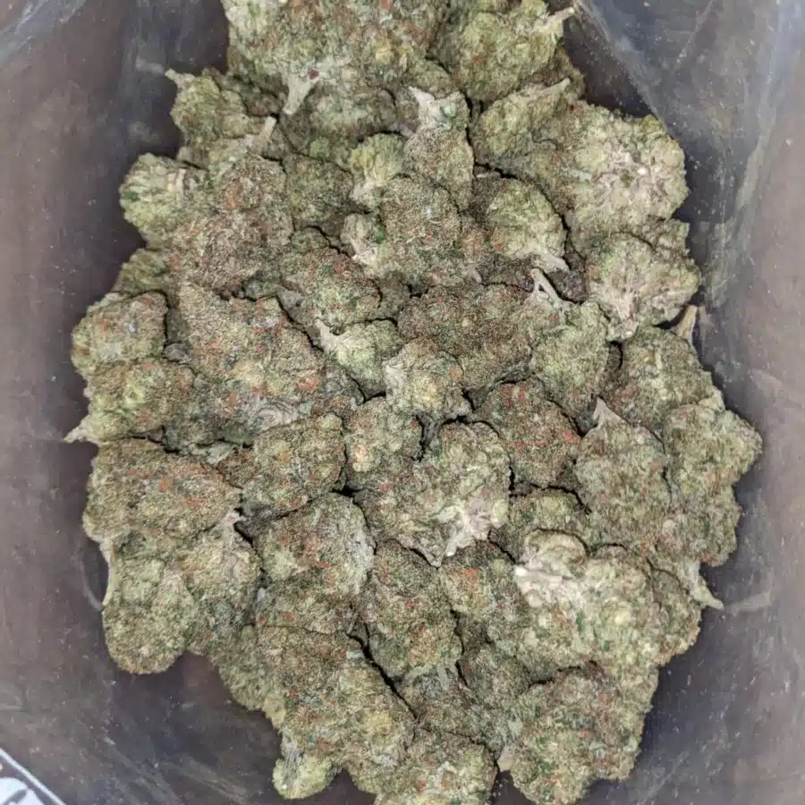 WhatsApp Image 2026 04 21 at 11.33.47 PM I $ 50 Oz - Chemo