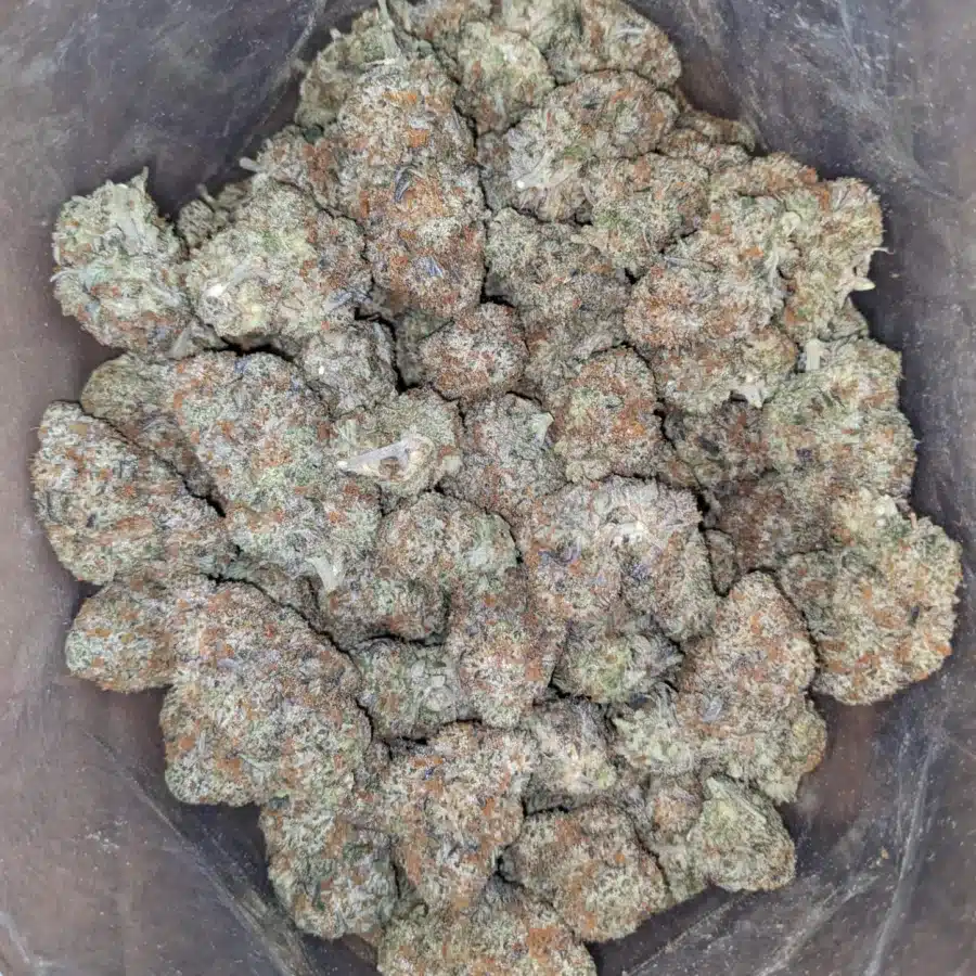 Alternative view of White Cookies