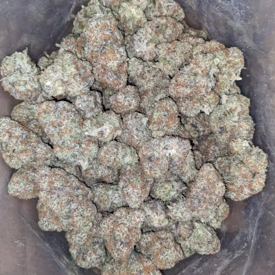 White Cookies