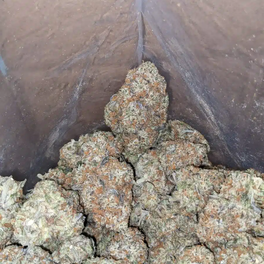 White Cookies 4 I White Cookies