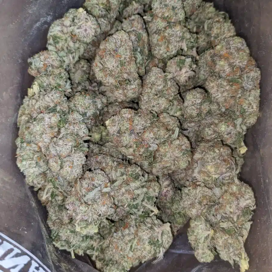 tdb 4 I Tony's Death Bubba