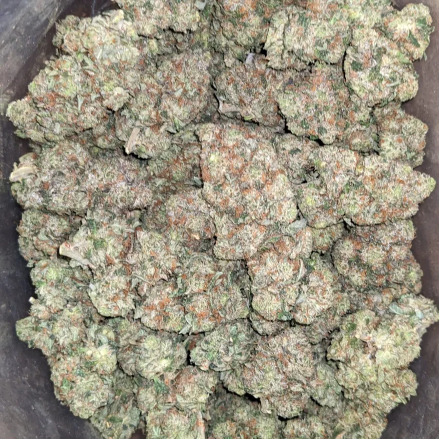 Tony's Holy Grail