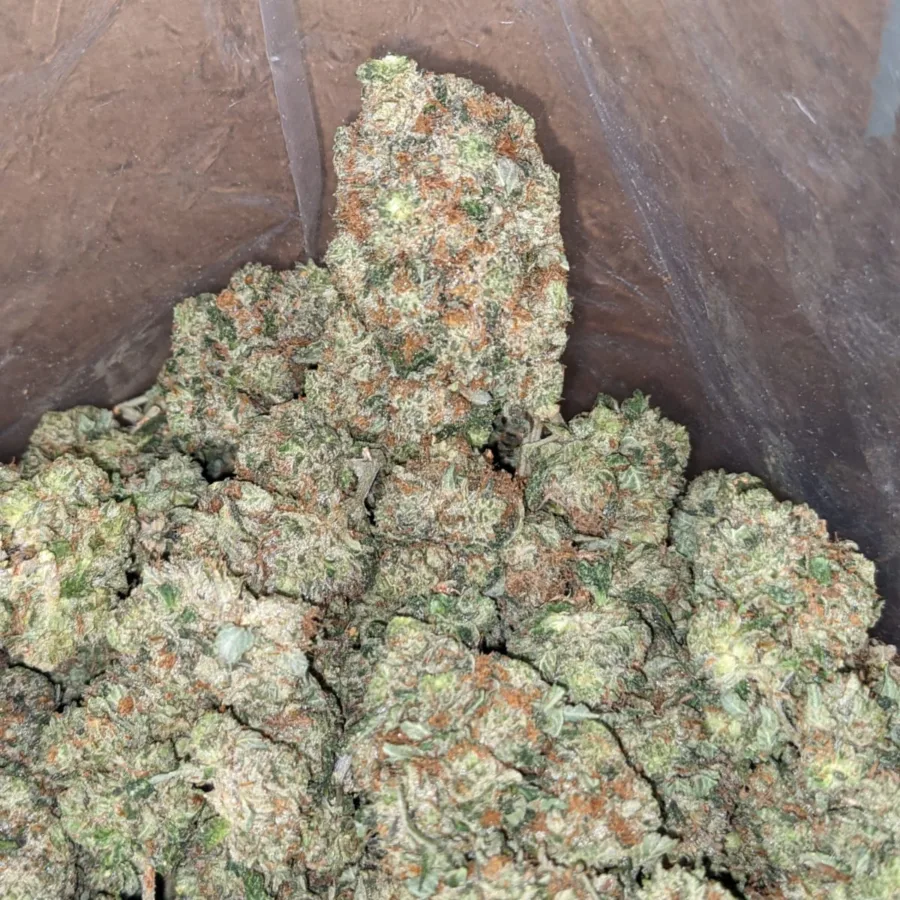 Tony's Holy Grail - Image 5