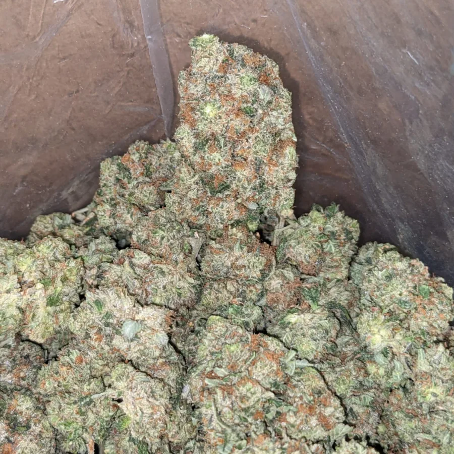 Tony's Holy Grail - Image 4