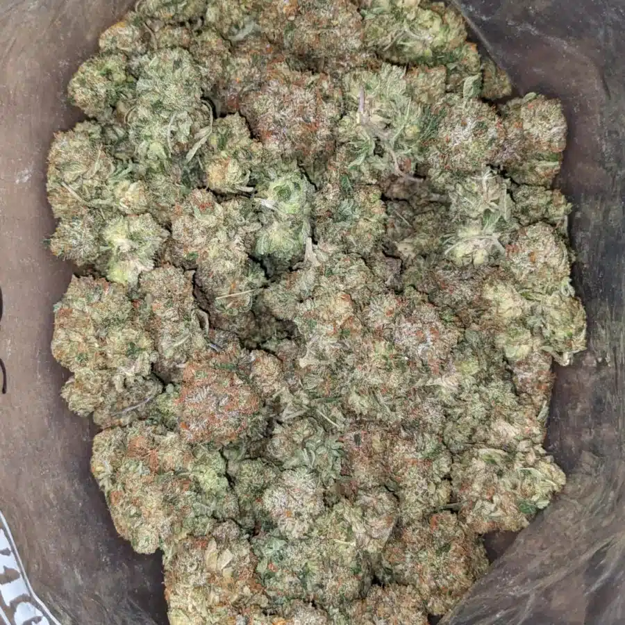 tpk 3 I Tony's Pink Kush