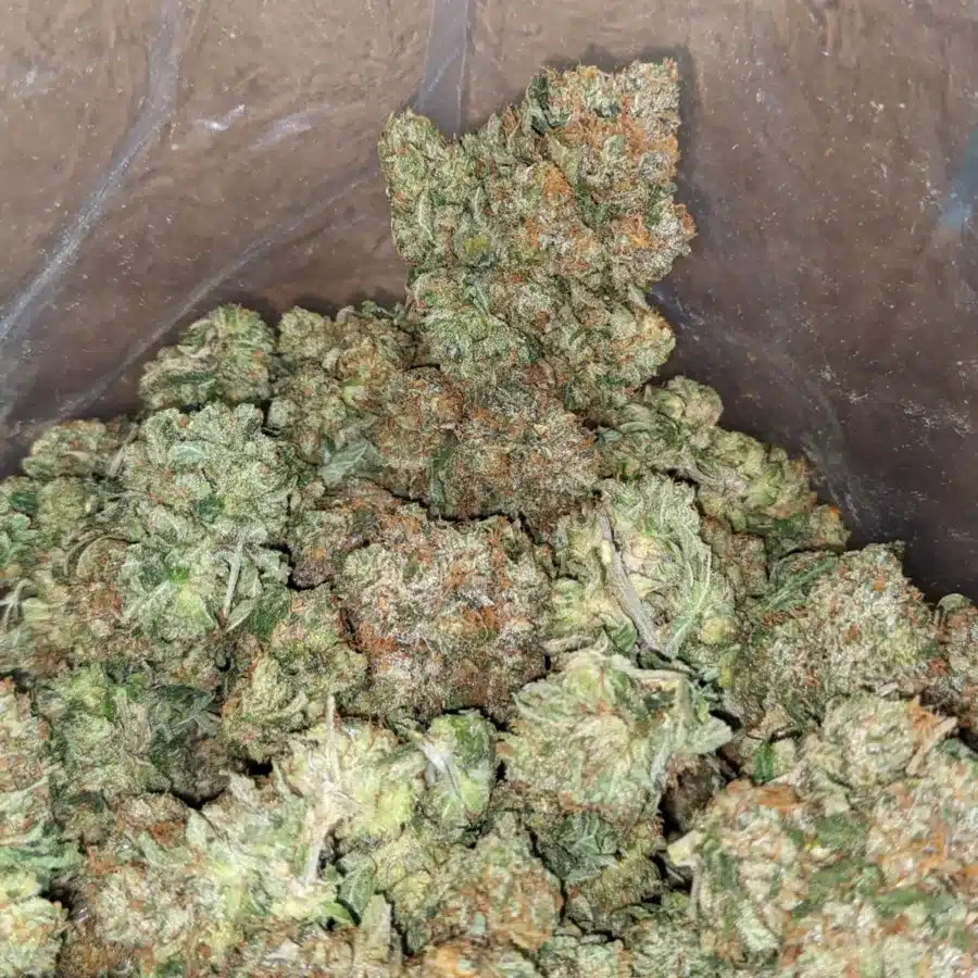 tpk 4 I Tony's Pink Kush