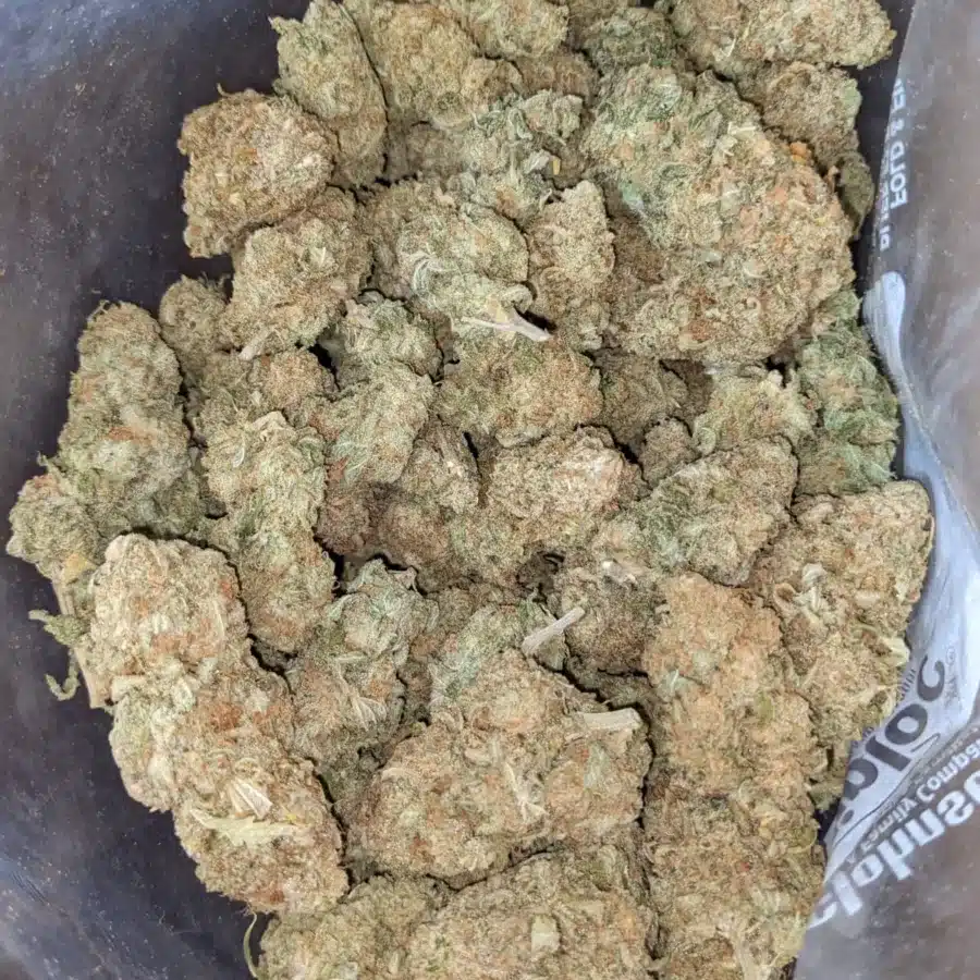 $44oz Girl Scout Cookies