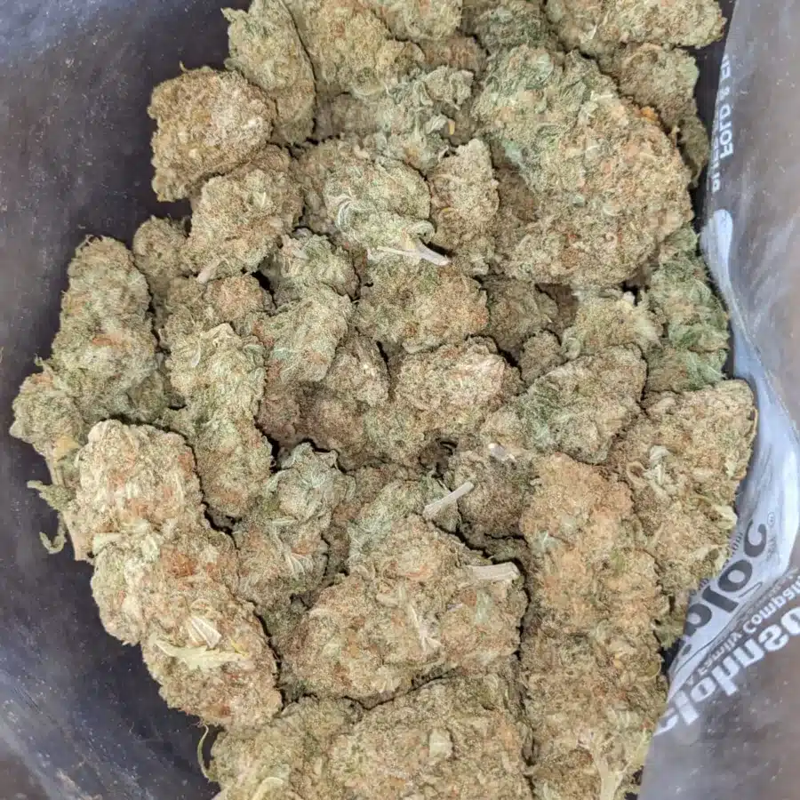 Alternative view of $44oz Girl Scout Cookies