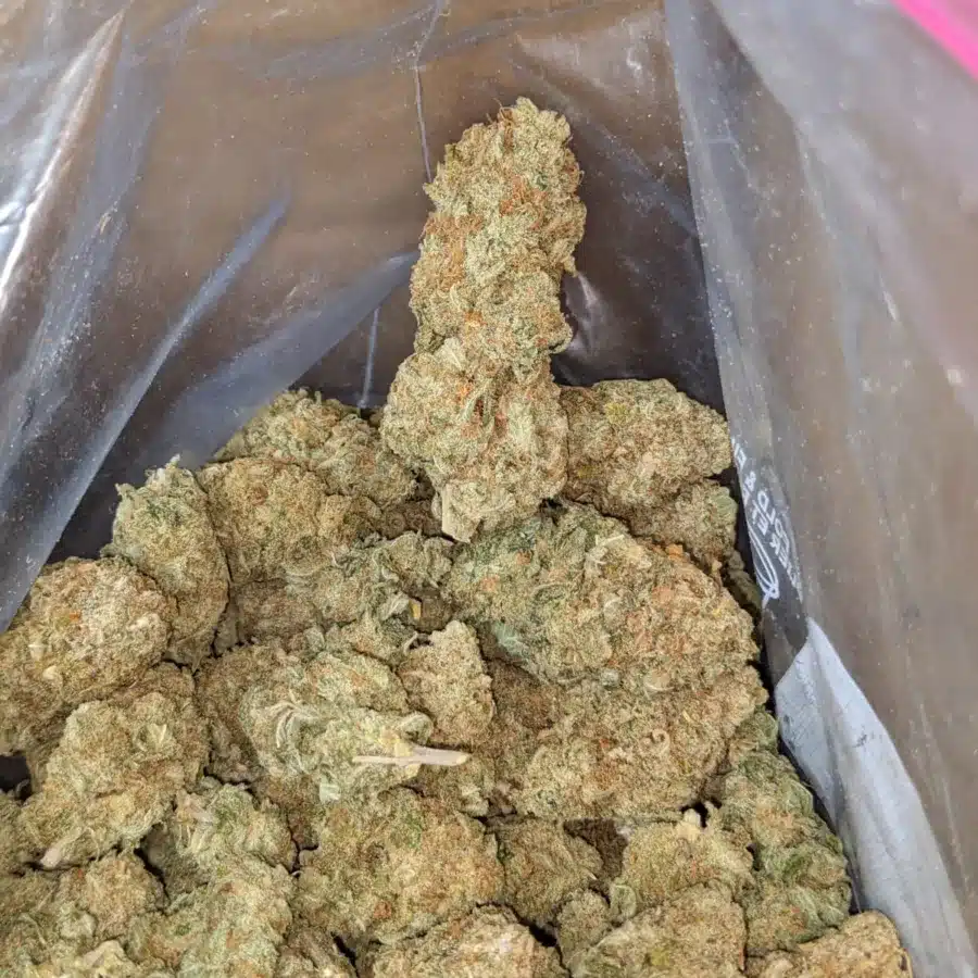 44 Oz Girl Scout Cookies 3 I $44oz Girl Scout Cookies