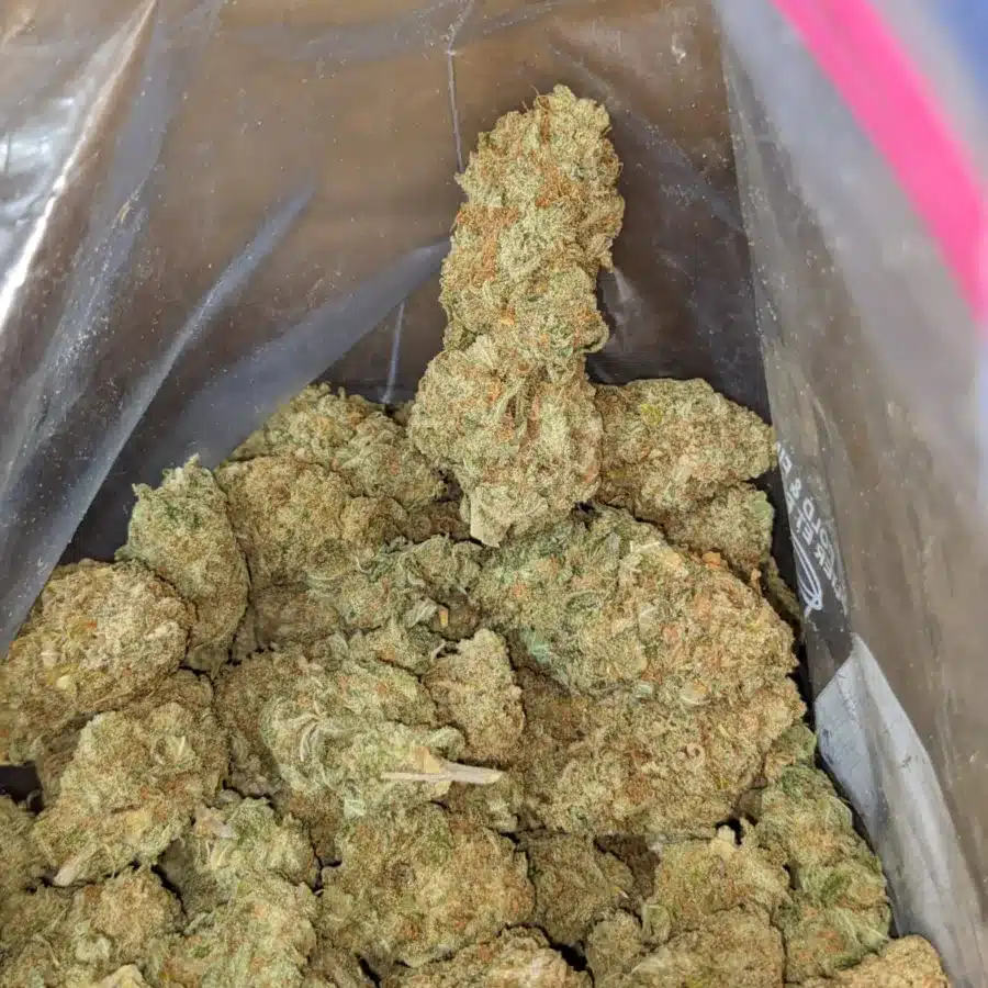44 Oz Girl Scout Cookies 4 I $44oz Girl Scout Cookies