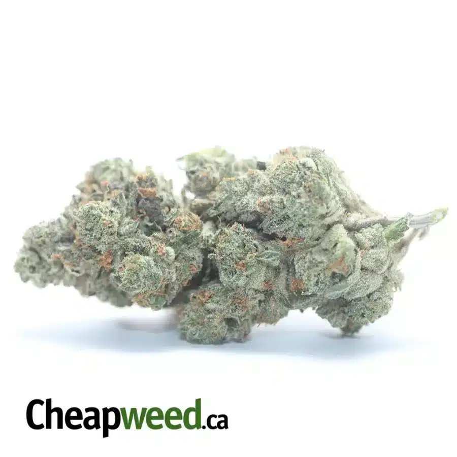 $ 75 Oz - 9LB Hammer