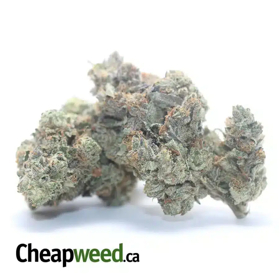 Alternative view of $ 75 Oz - 9LB Hammer