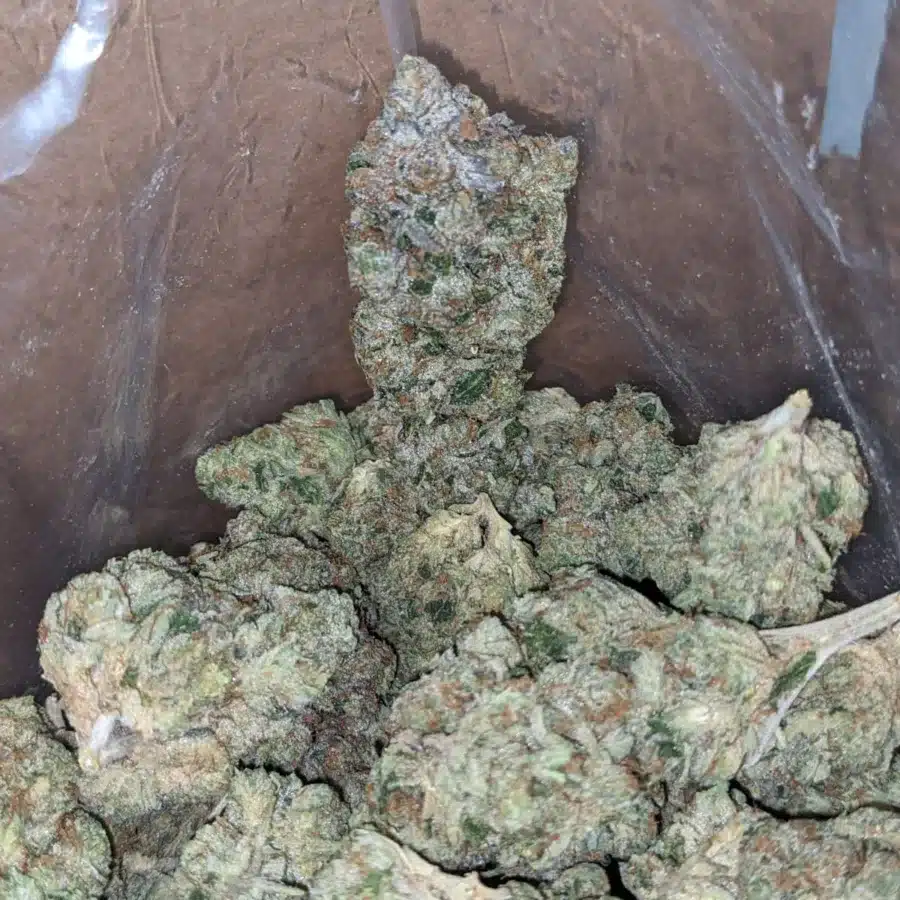9Lb Hammer 1 I $ 75 Oz - 9LB Hammer