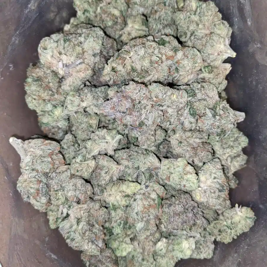 9Lb Hammer 2 I $ 75 Oz - 9LB Hammer