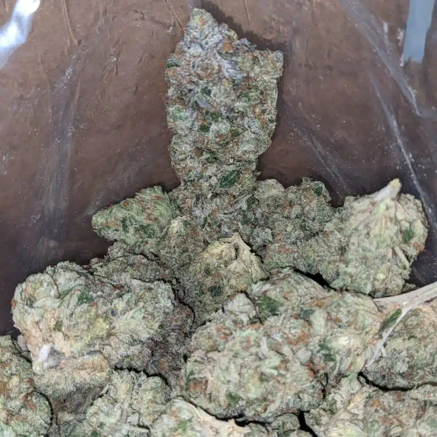 9Lb Hammer 4 I $ 75 Oz - 9LB Hammer