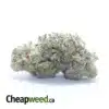 $ 46 Oz - Animal Face