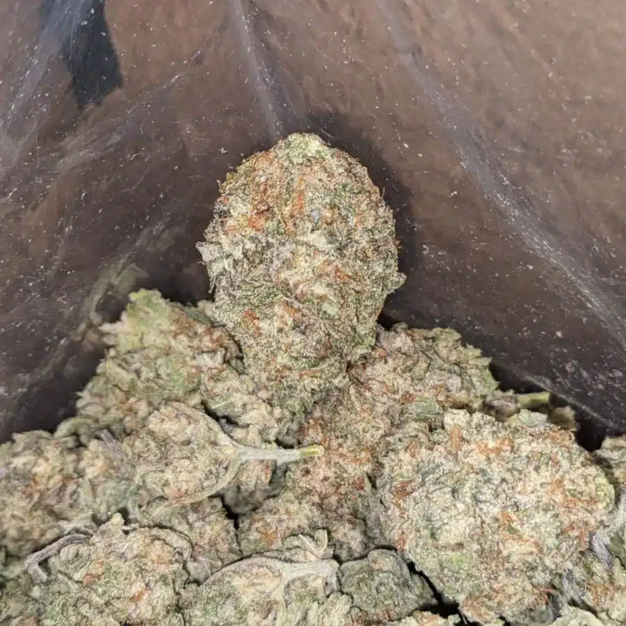 Alien Cookies 1 1 I Alien Cookies
