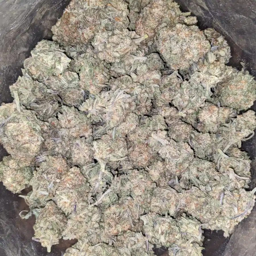 Alternative view of Alien Cookies