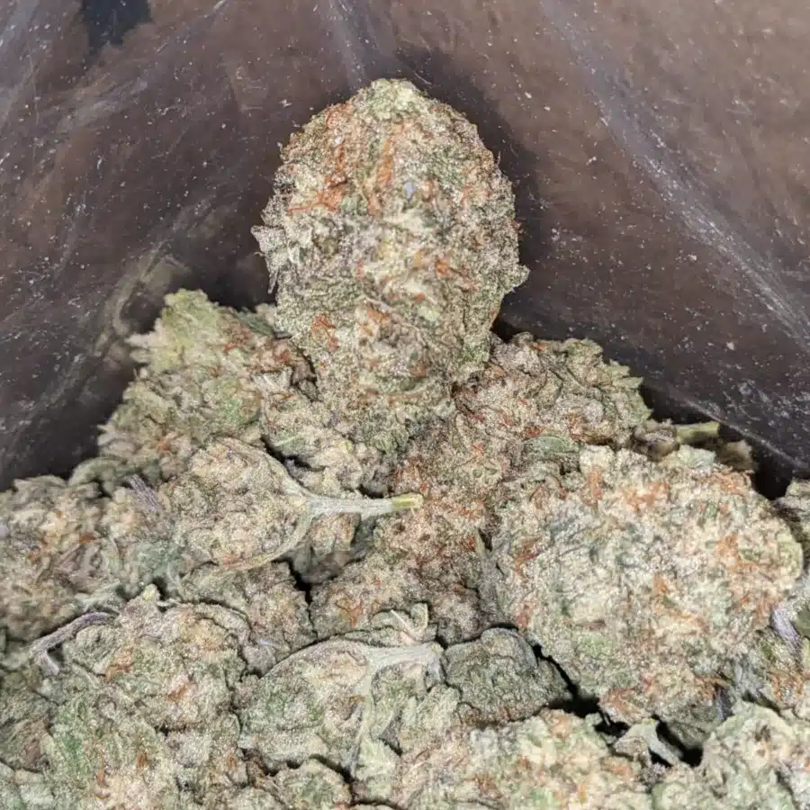 Alien Cookies 3 1 I Alien Cookies