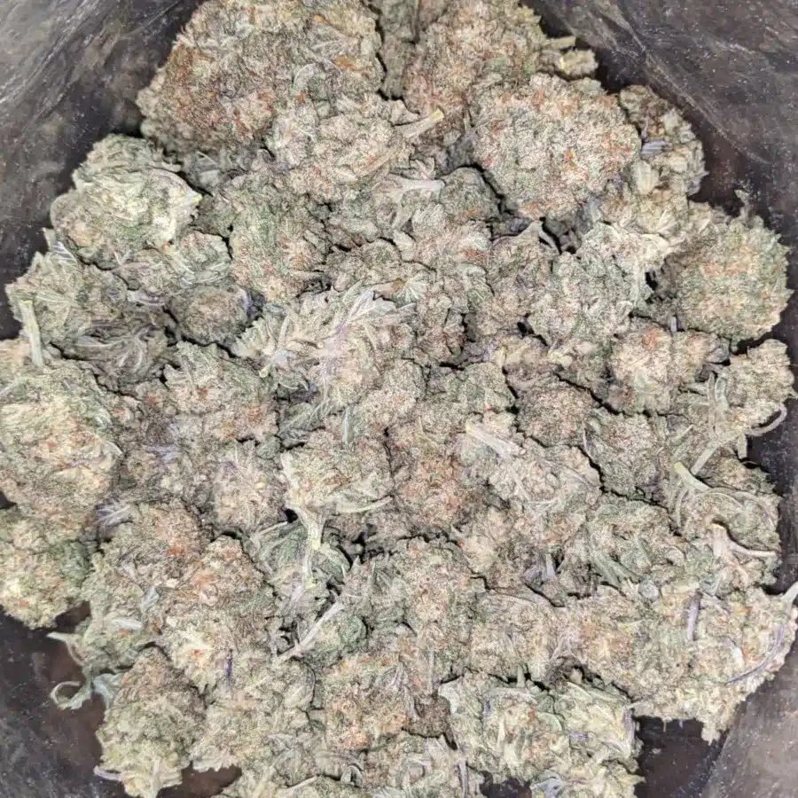 Alien Cookies