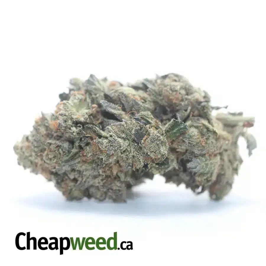 Black Bubba AAA