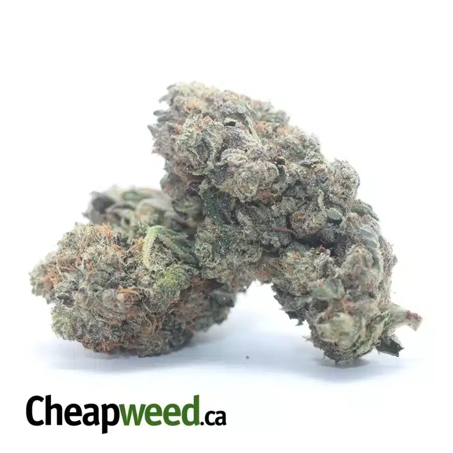 Alternative view of Black Bubba AAA