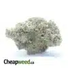 $ 51 Oz - Blue Heron