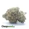 Blueberry Cheesecake