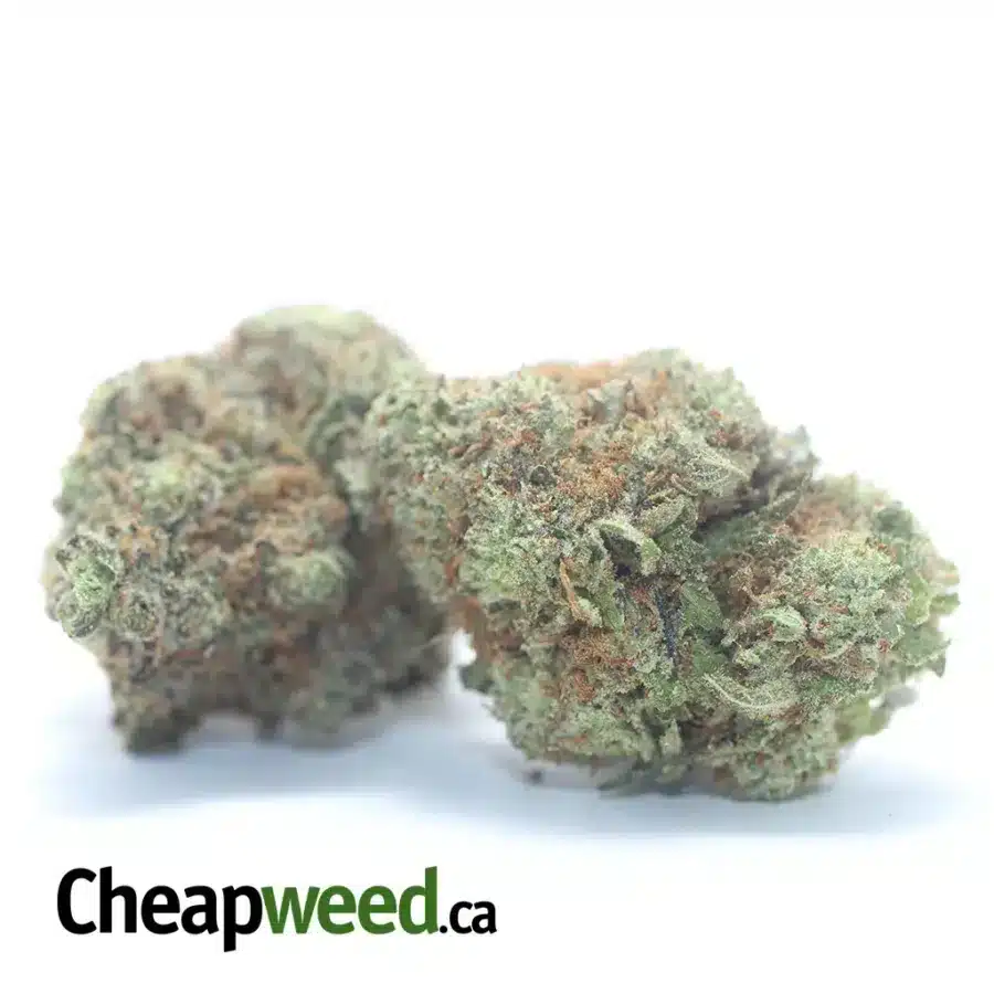 Alternative view of Blueberry Cheesecake