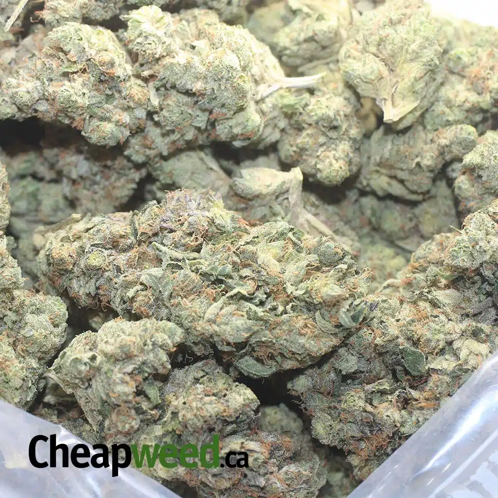 $ 60 Oz - Bruce Banner - Image 3