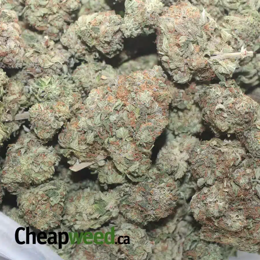 BUBBA KUSH 1 1 I Bubba Kush