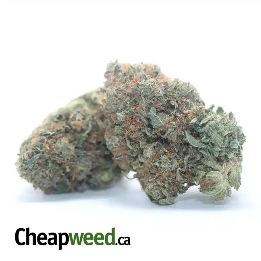 Alternative view of Bubba Kush