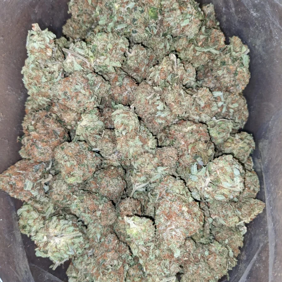 Black Bubba