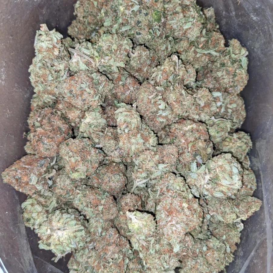 Alternative view of Black Bubba