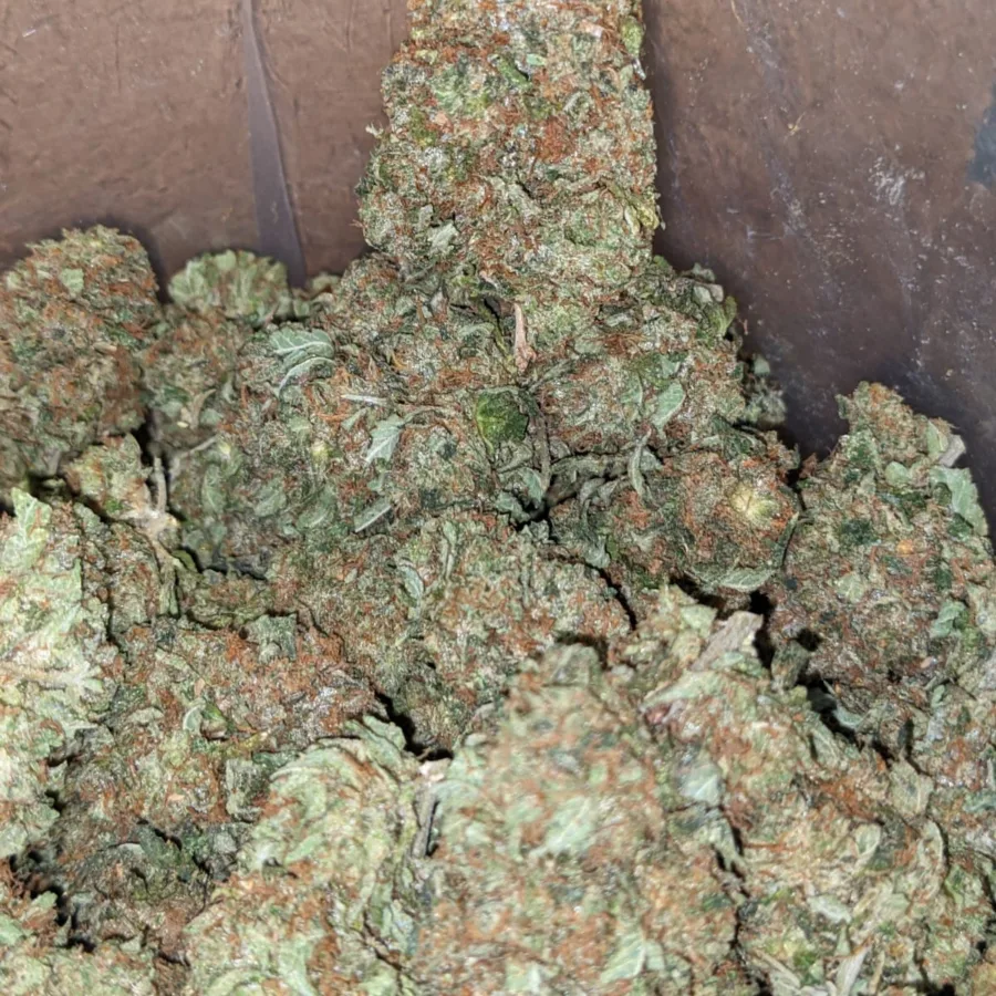 Black Bubba - Image 7