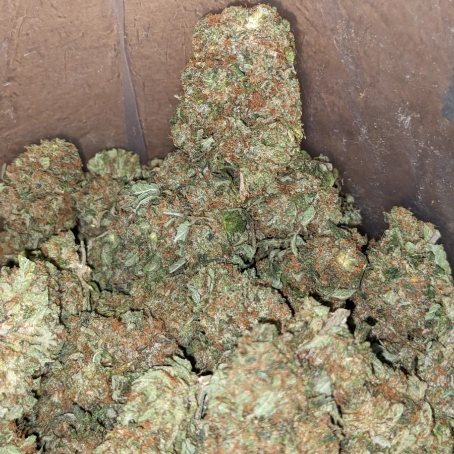 Black Bubba - Image 6