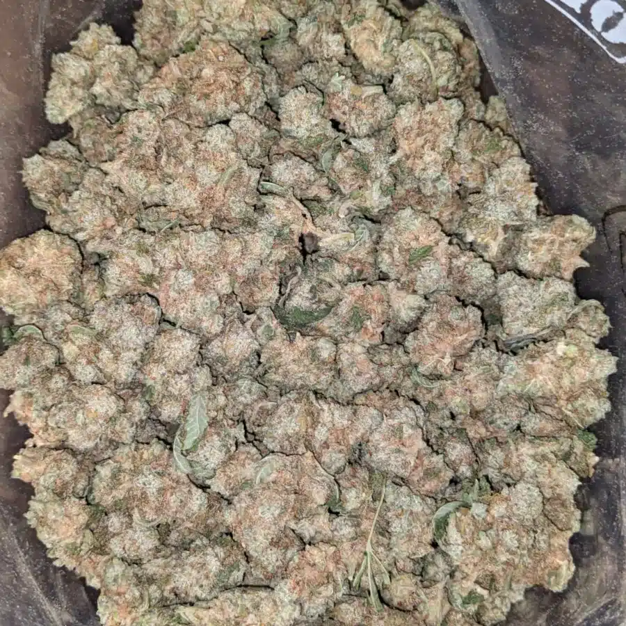 Boston Cream (Smalls)