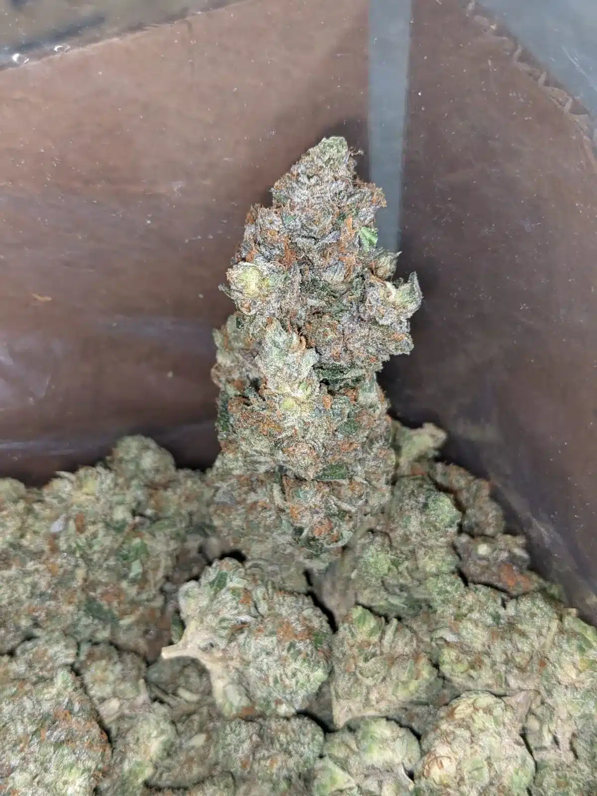$ 60 Oz - Bruce Banner - Image 6