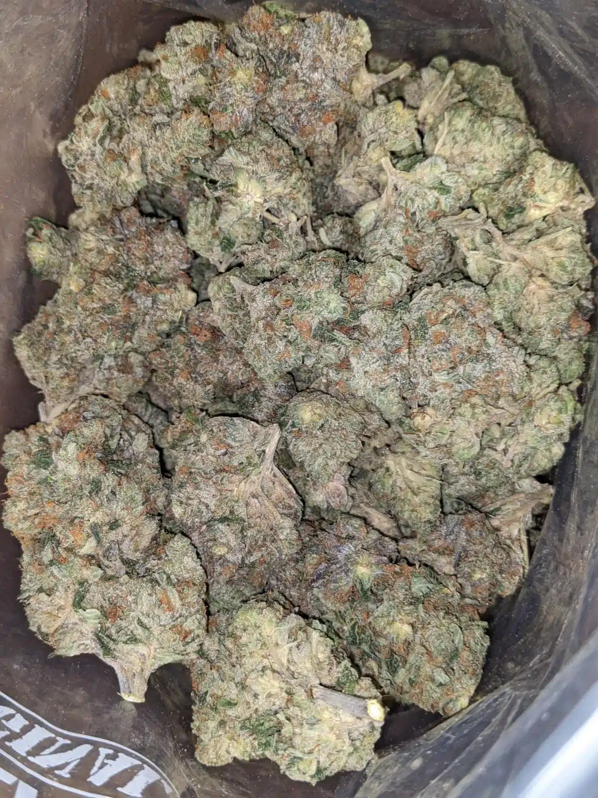 $ 60 Oz - Bruce Banner - Image 7
