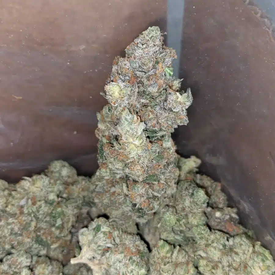 Bruce Banner 3 I $ 60 Oz - Bruce Banner