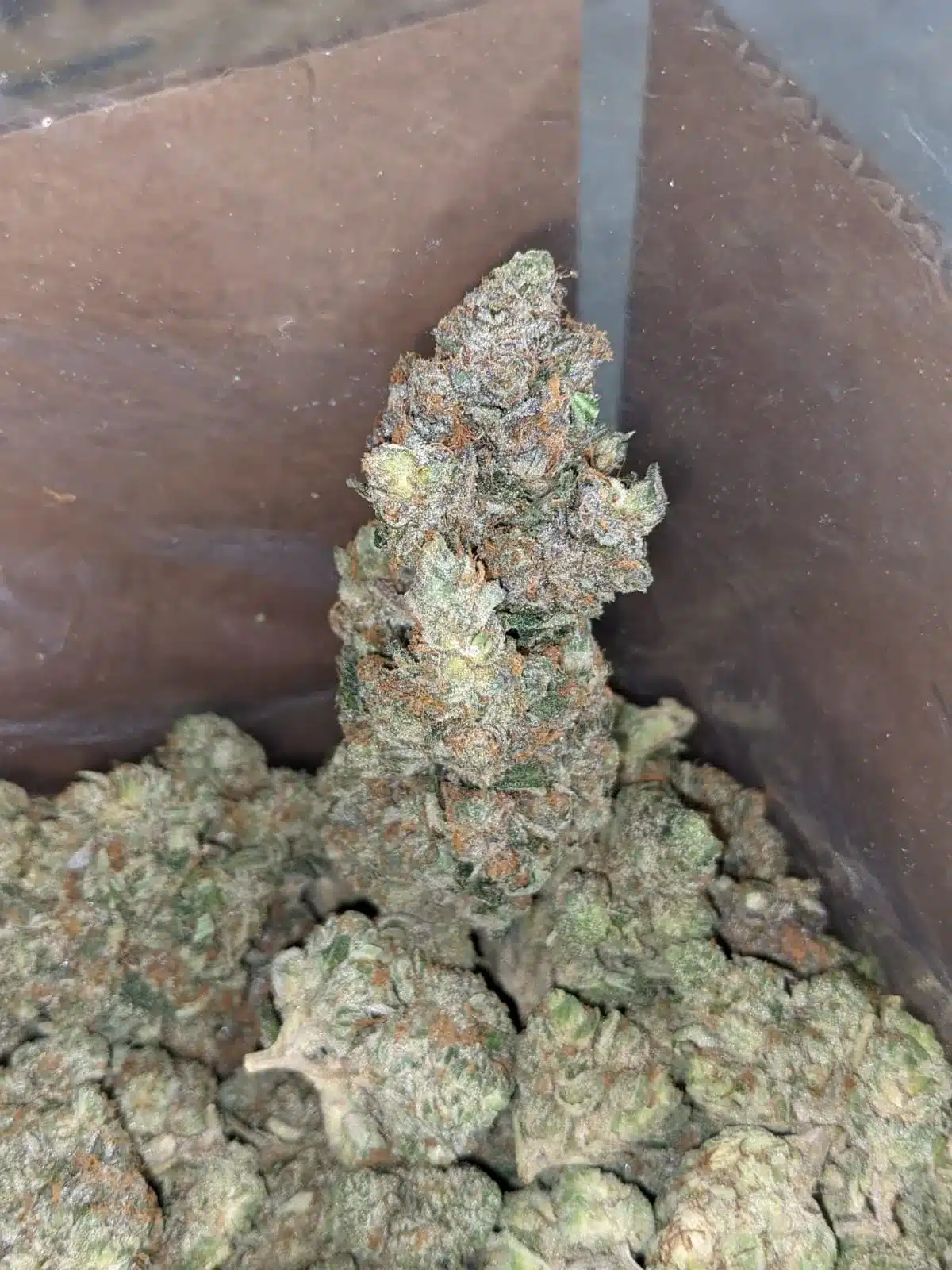 $ 60 Oz - Bruce Banner - Image 4