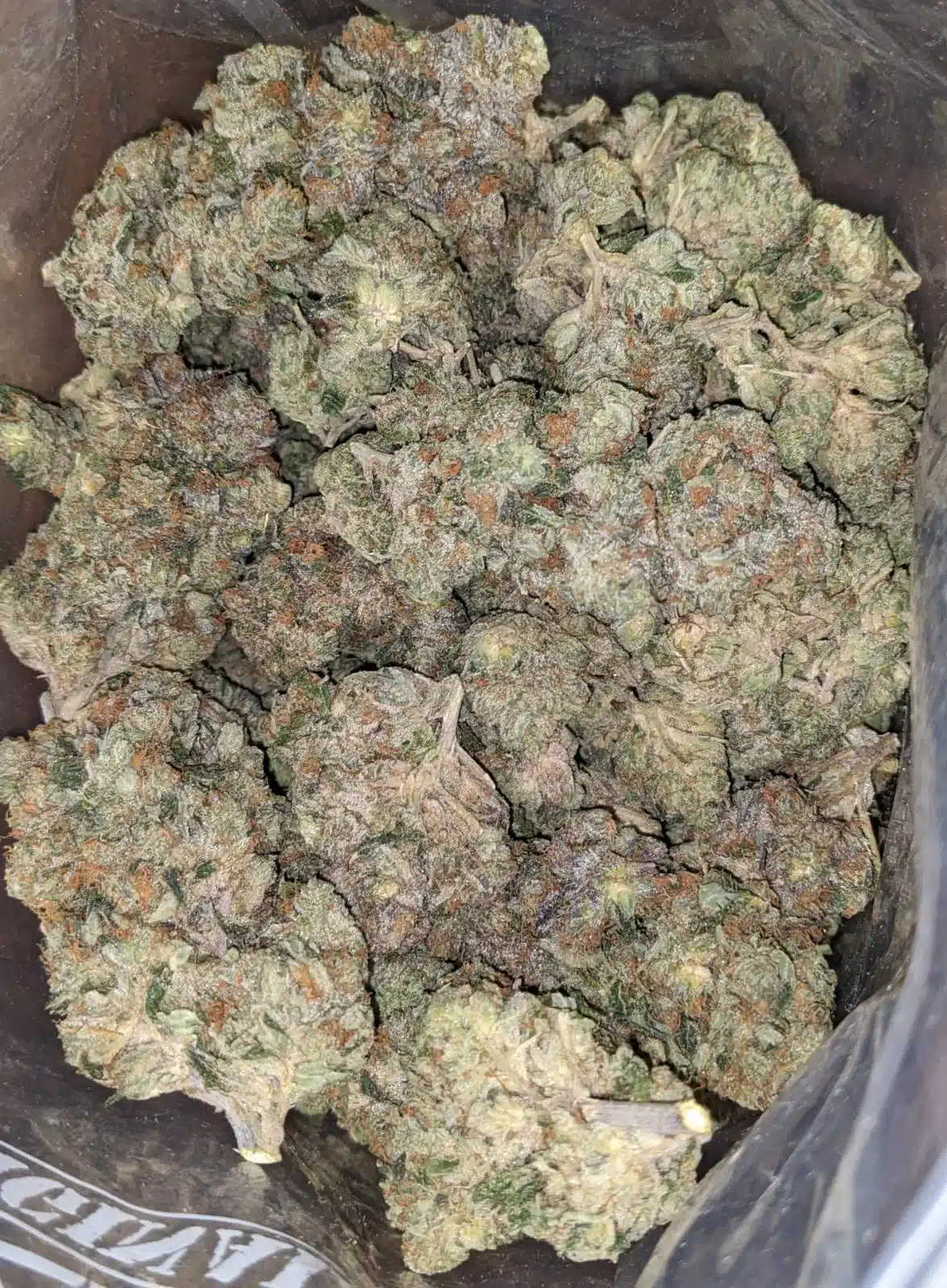 $ 60 Oz - Bruce Banner - Image 5