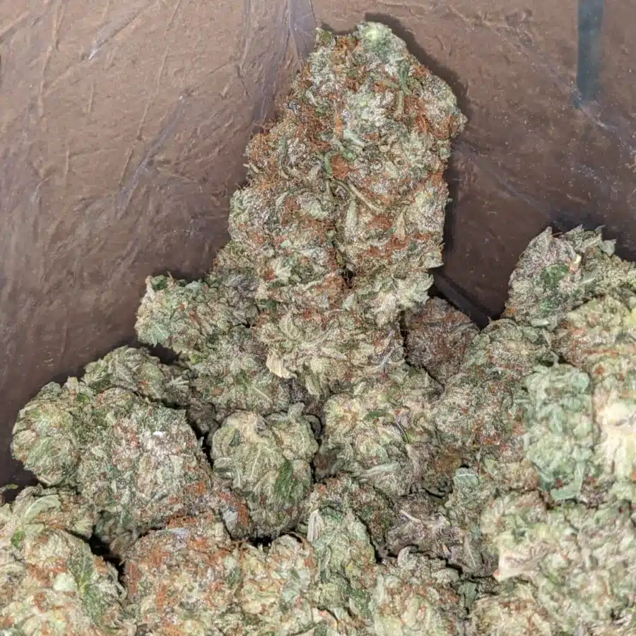 Bubba Kush 1 I Bubba Kush